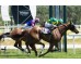  Carrera: P.Corpa  Caballo: The Game Monta: R.Sousa